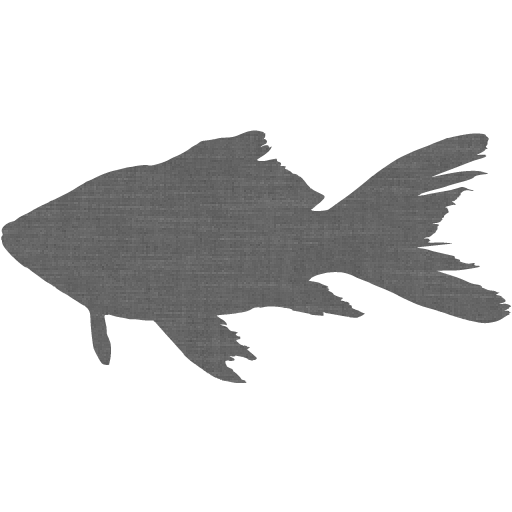 Grey Wall Fish Icon