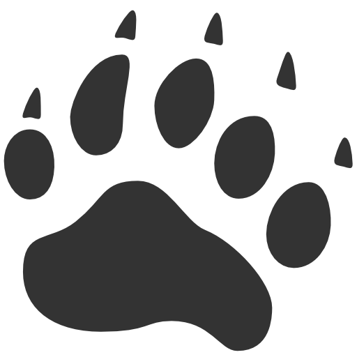 Bear Icon
