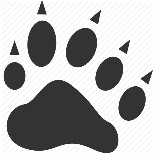 Animal, Bear, Cat, Paw, Tiger, Zoo Icon
