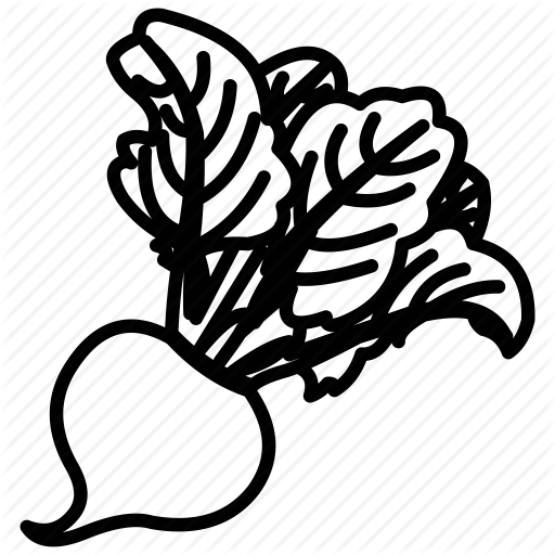 Beet, Beet Juice, Beet Leaf, Beet Salad, Beet Vegetable, Beet