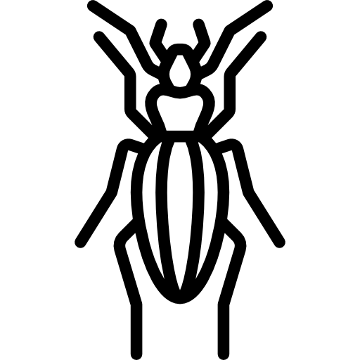 Beetle Symbol Icon