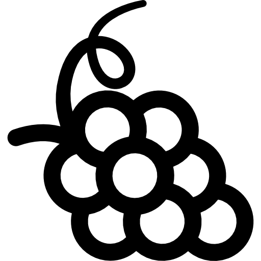 Berry Icon