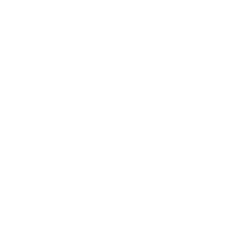 White Bicycle Icon