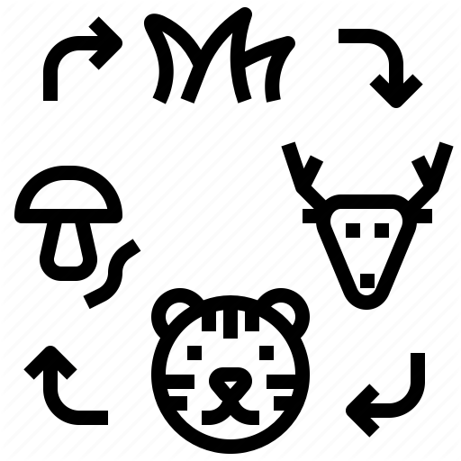 Chain, Cycle, Ecology, Food, Interaction Icon