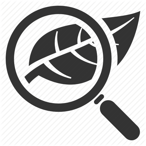 Biology, Leaf, Magnifying Glass, Research Icon