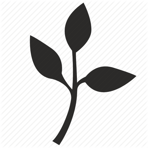 Biology, Plant, Science Icon