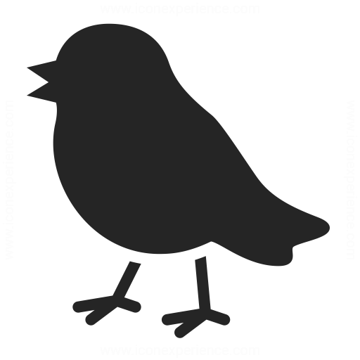 Bird Icon Iconexperience
