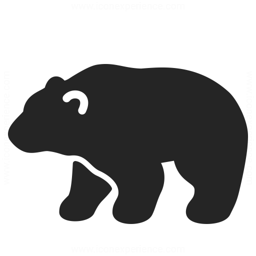 Bear Icon Iconexperience