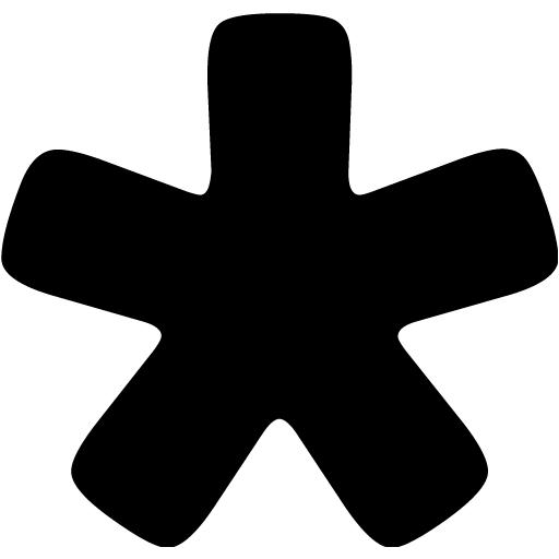 Black Star Icon