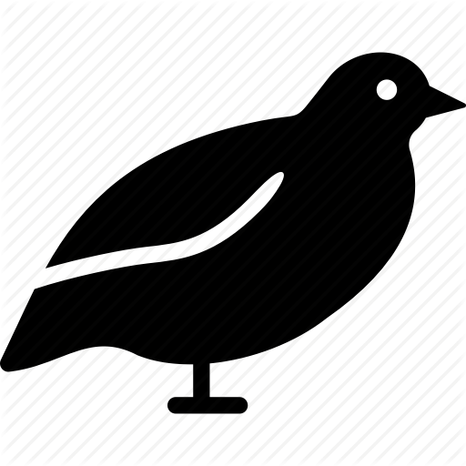 Blue, Quail, Wood Quail Icon