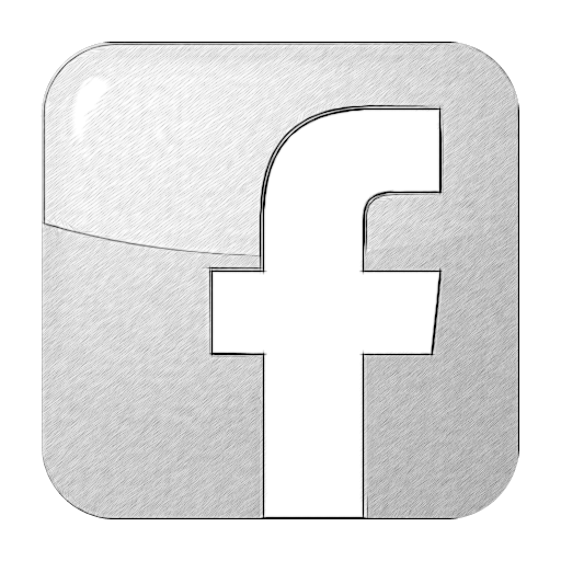 Social Facebook Box Blue Icon Bw