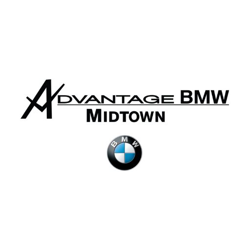 Bmw Icon