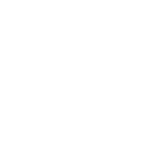 White Boat Icon