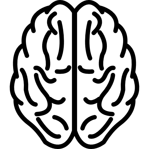 Brain Upper View Outline Icons Free Download