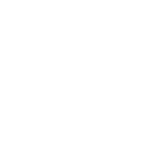 White Broken Link Icon