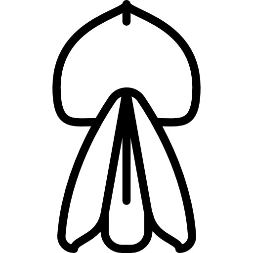 Broom Icons Free Download