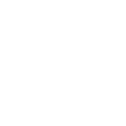 Business Intelligence