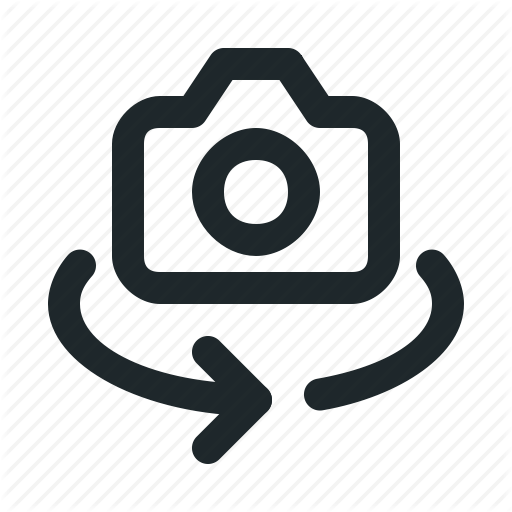 Camera, Switch Icon