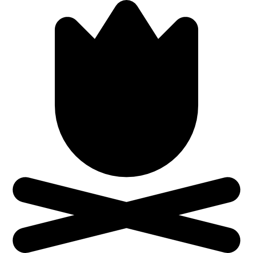 Campfire Icon
