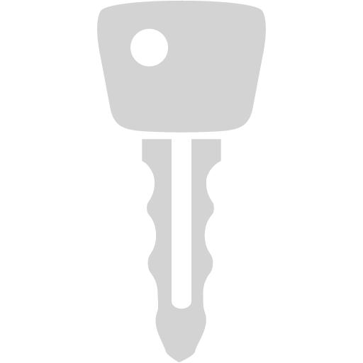 Light Gray Car Key Icon
