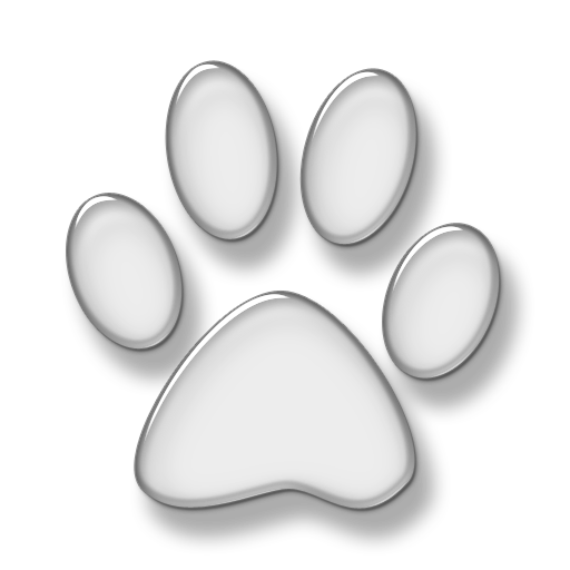 Cat Print Animal Png