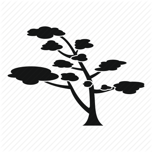 Branch, Cedar, Coniferous, Forest, Natural, Nature, Tree Icon