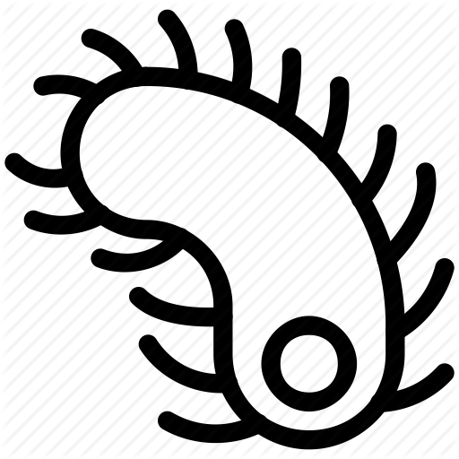 Animals, Bacteria, Centipede, Insect, Pets Icon