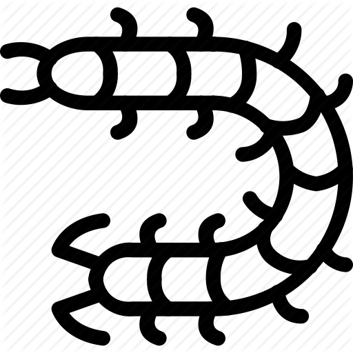 Animals, Centipede, Insect, Pets Icon