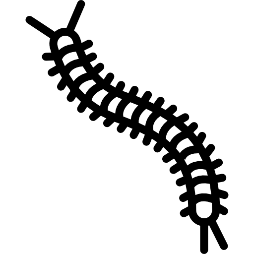 Centipede Icon at GetDrawings | Free download