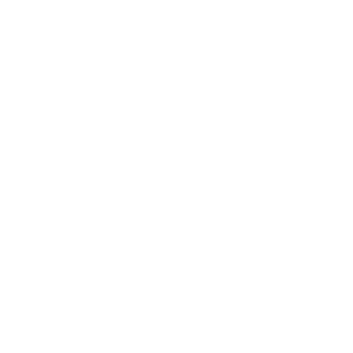 White Check Mark Icon