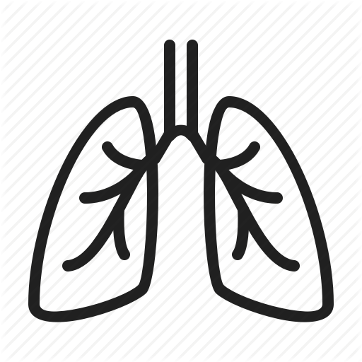 Lungs, Medical, Phlebology Icon