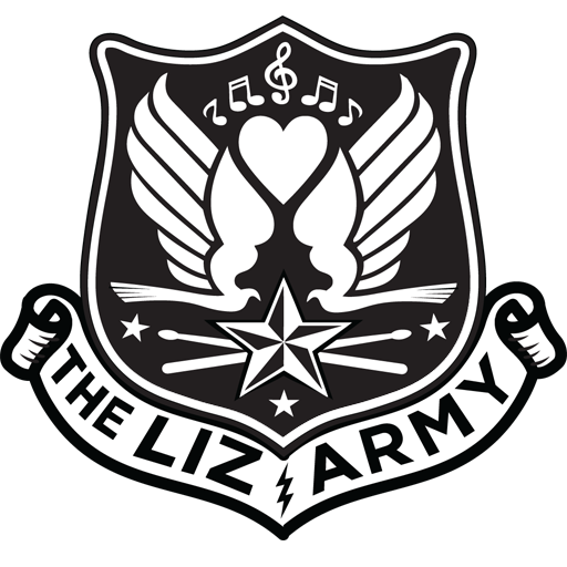 Cancer Treatment For Dummies The Liz Army