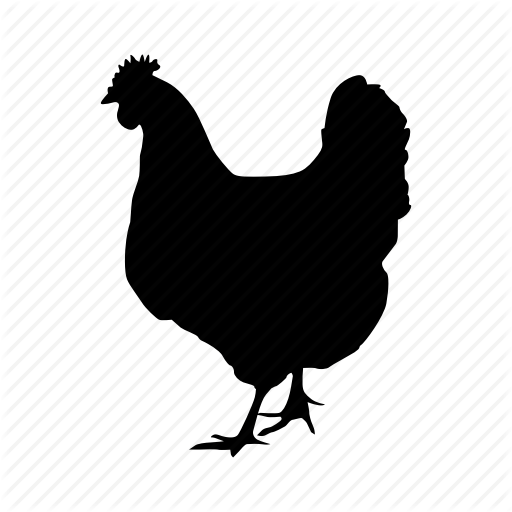 Chicken, Egg, Food Icon