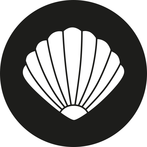 Clam, Clams Icon