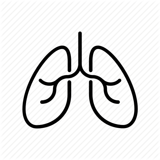 Breath, Clean Air, Health, Lungs, Nature Icon