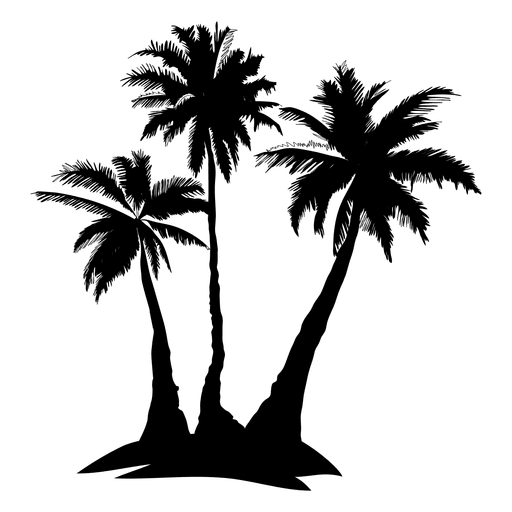 Collection Of Free Palm Vector Sunrise Download On Ui Ex