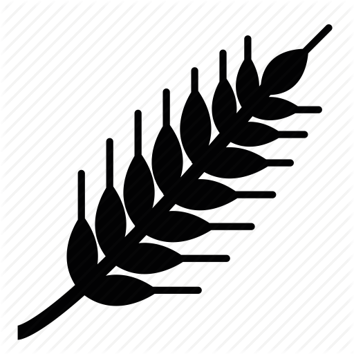 Breakfast, Cereal, Corn Icon