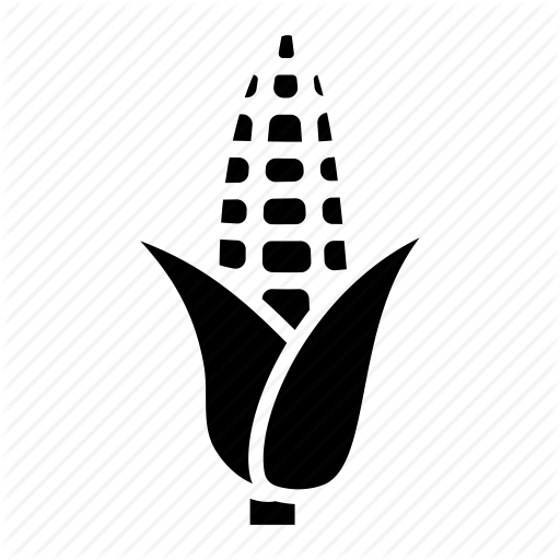 Corn, Corn In Husk, Corn On The Cob, Food, Sweet Corn Icon