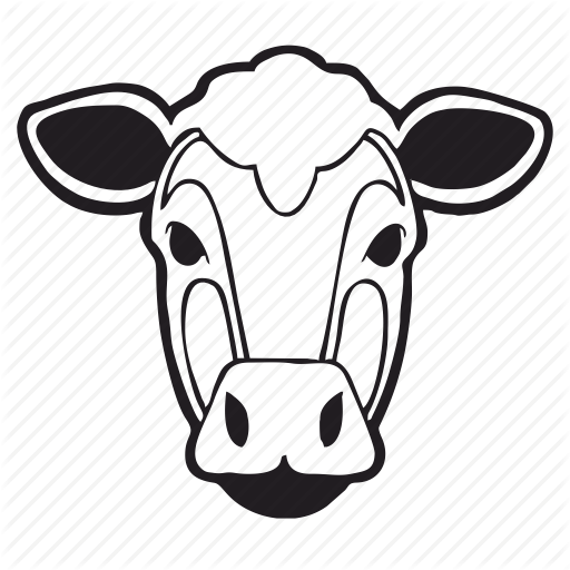 Animal, Cow, Face, Skn