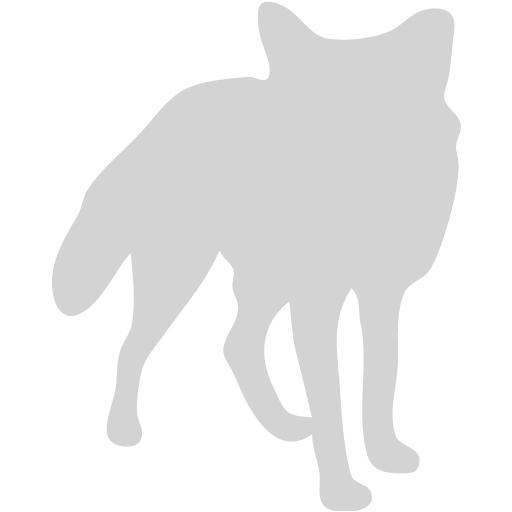 Light Gray Fox Icon