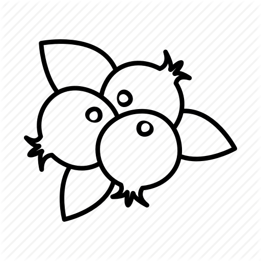 Cranberry, Diet, Eating, Food, Fruits, Healthy, Organic Icon