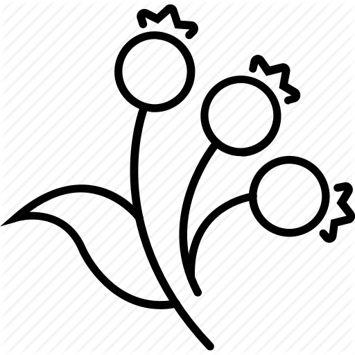 Cranberry, Food, Fruit, Vegetarism Icon