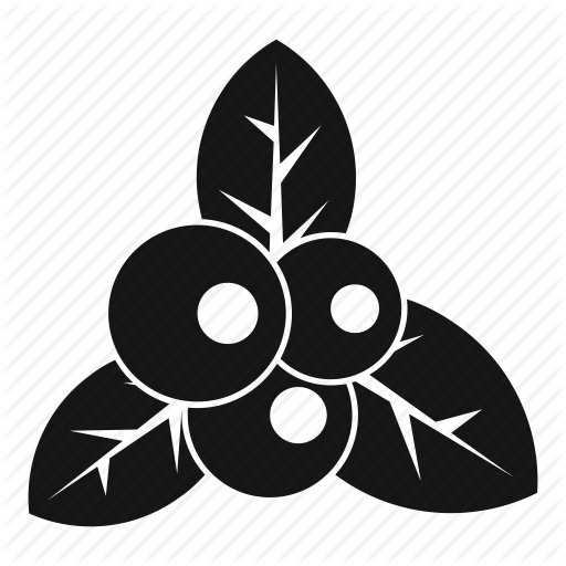 Berry, Cranberry, Food, Freshness, Healthy, Leaf, Ripe Icon