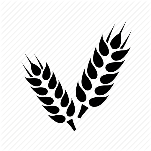 Grain, Wheat, Wheat Crop Icon