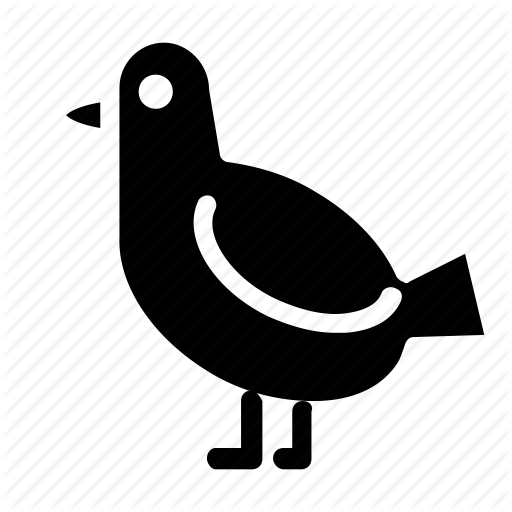 Animal, Bird, Crow Icon