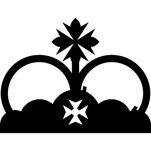 Crown Icon
