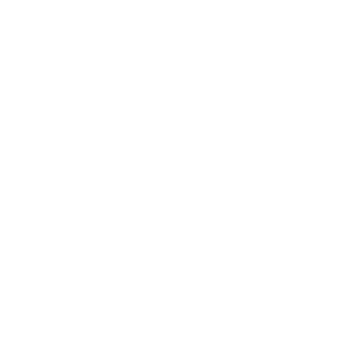 White Css Icon
