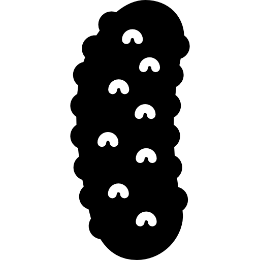 Cucumber Icon