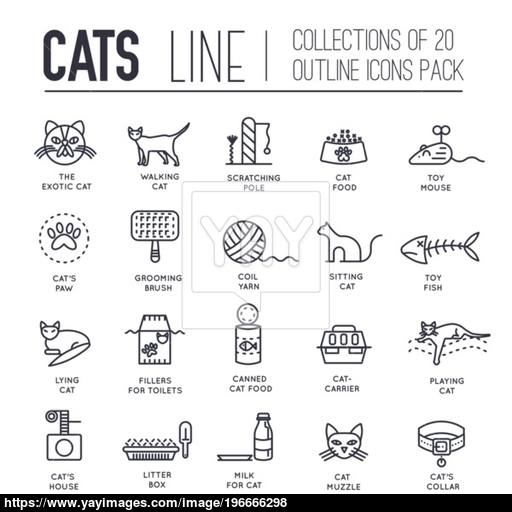 Vector Thin Line Breed Cats Icons Set Cute Outline Animal