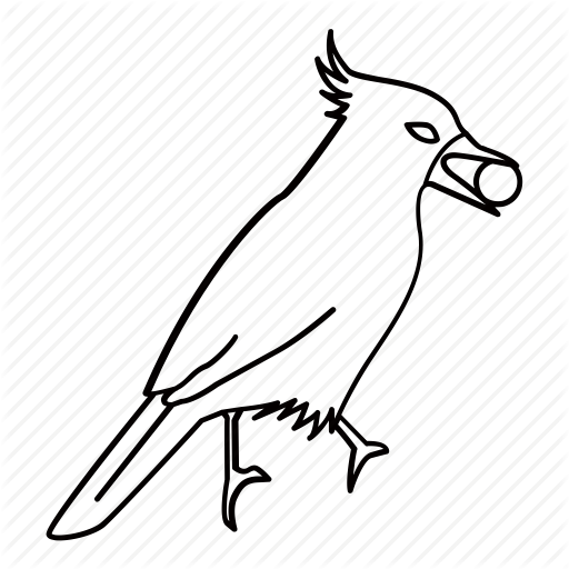 Collection Of Free Vector Birds Jay Bird Download On Ui Ex